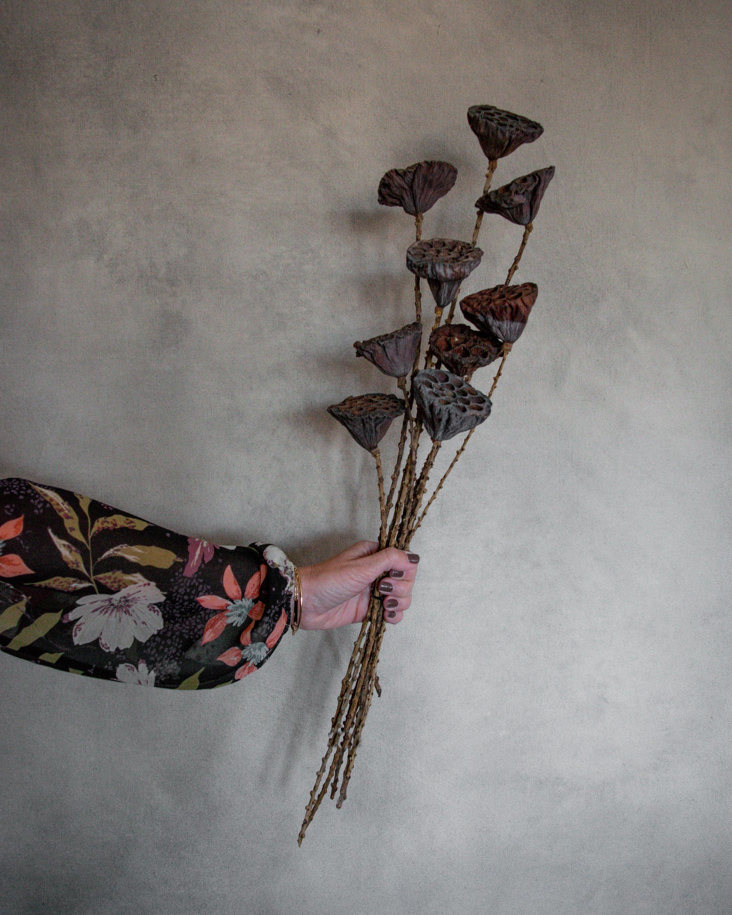 Bundle of Lotus Pods