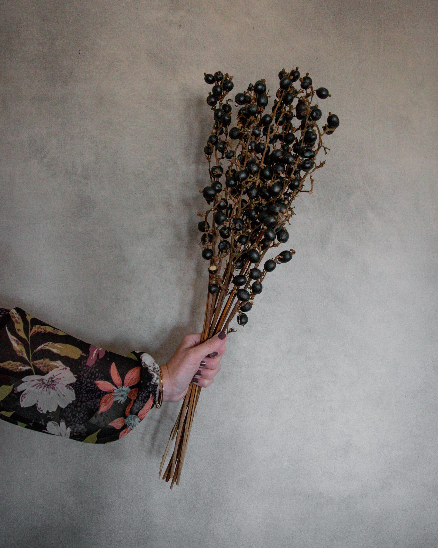 Bundle of Twelve Dried Black Berries