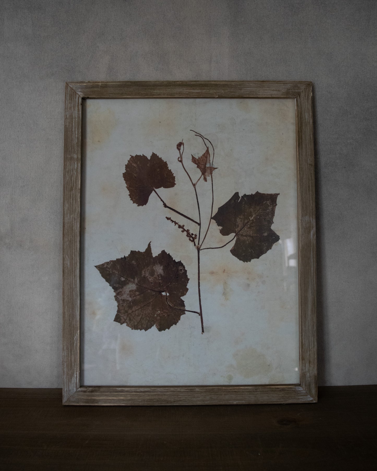 Leaf Print Under Glass