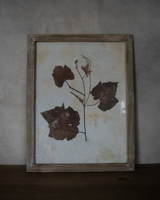 Leaf Print Under Glass