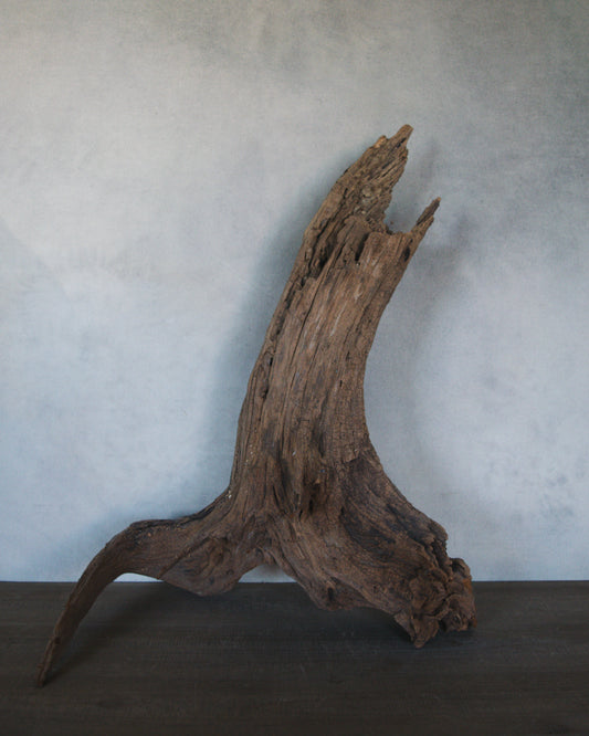 Medium Vintage Driftwood