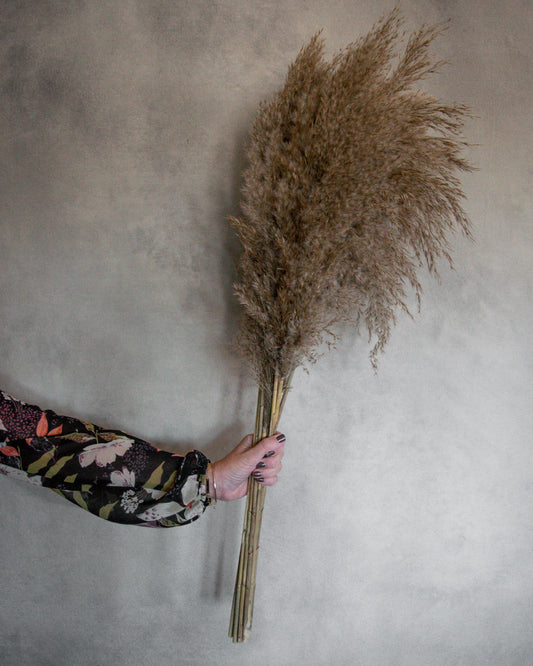 Large Bundle Of Natural Pampas Grass