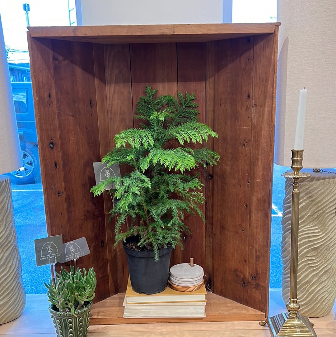 Vintage Wood Trough