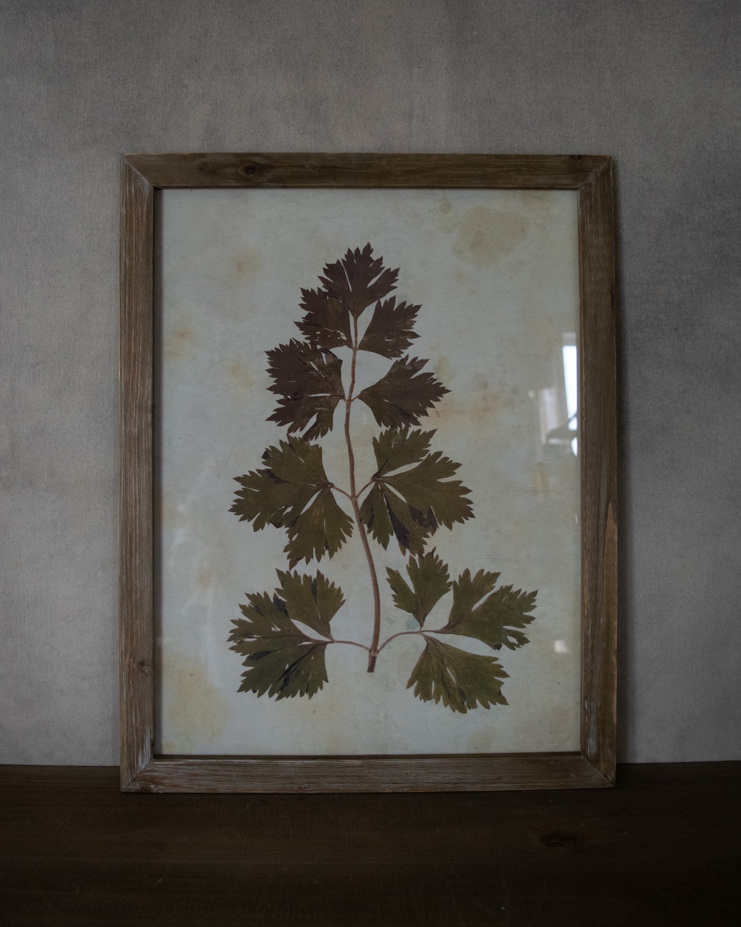 Leaf Print Under Glass