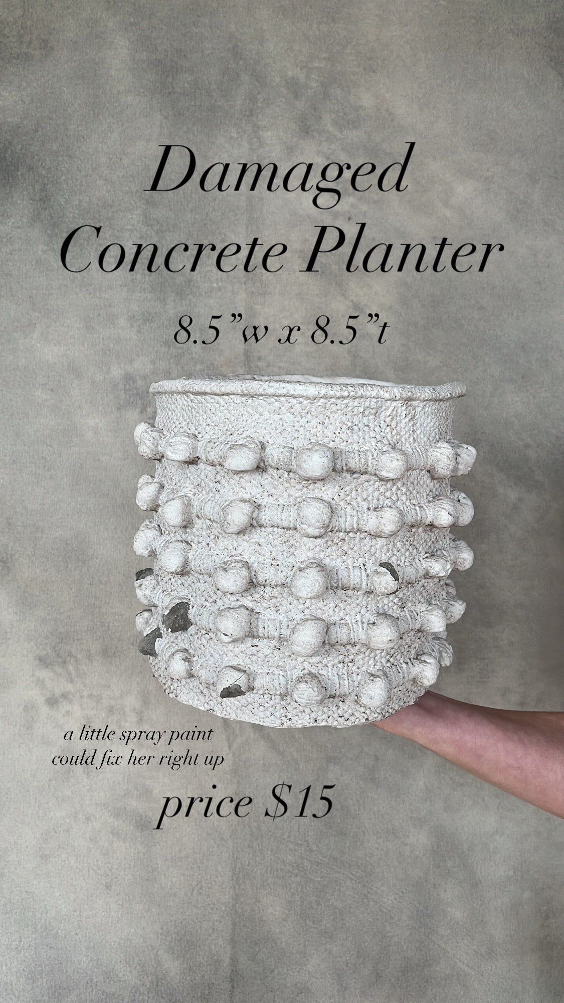Damaged Concrete Planter